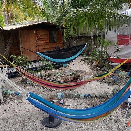 Sustainable Cabain Apartment Cozumel Exterior foto