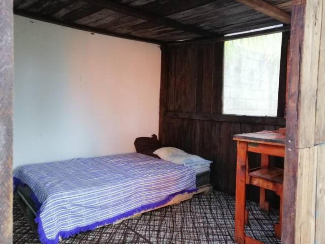 Sustainable Cabain Apartment Cozumel Exterior foto