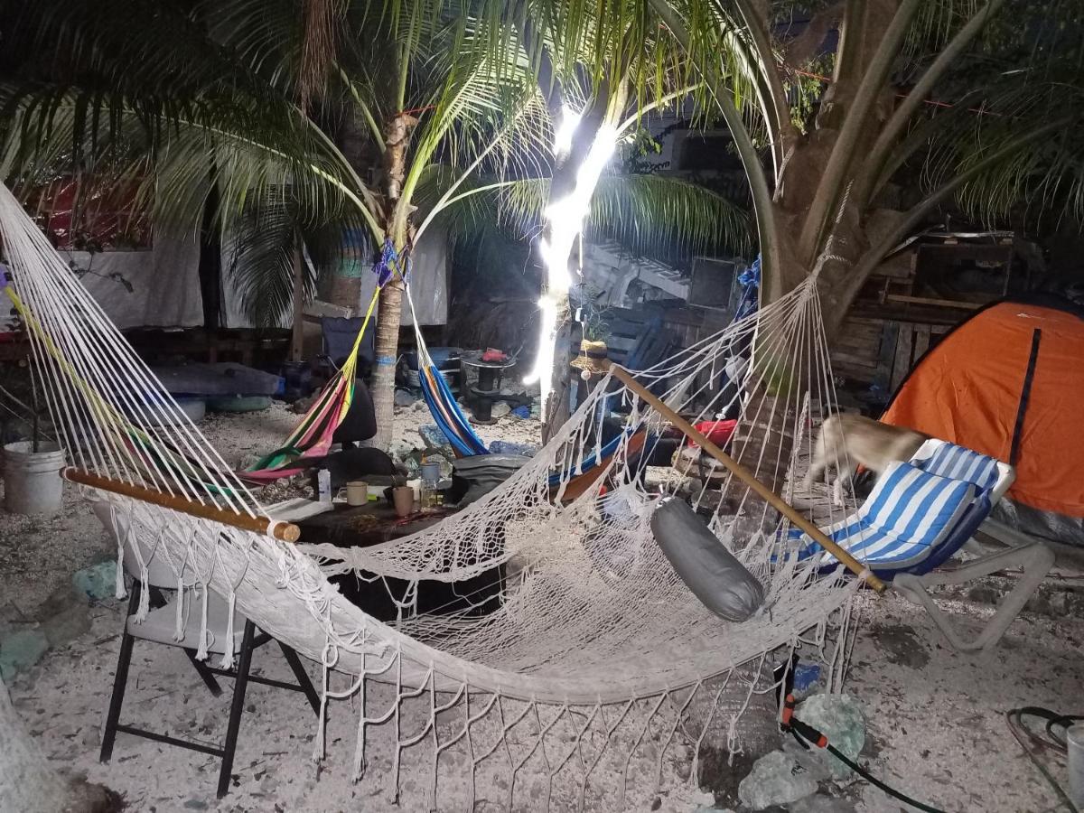 Sustainable Cabain Apartment Cozumel Exterior foto